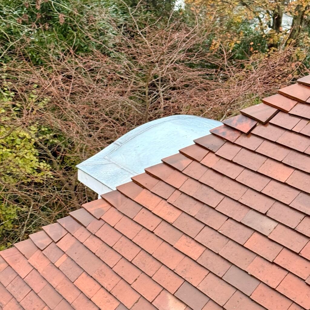Tuiles plates et toit en zinc pour une lucarne cintrée, Paris