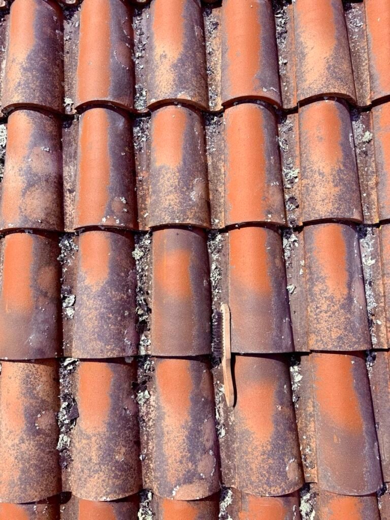 Mousses et depots noirs sur des tuiles canal en terre cuite avant demoussage par Maison Lardeux Toiture